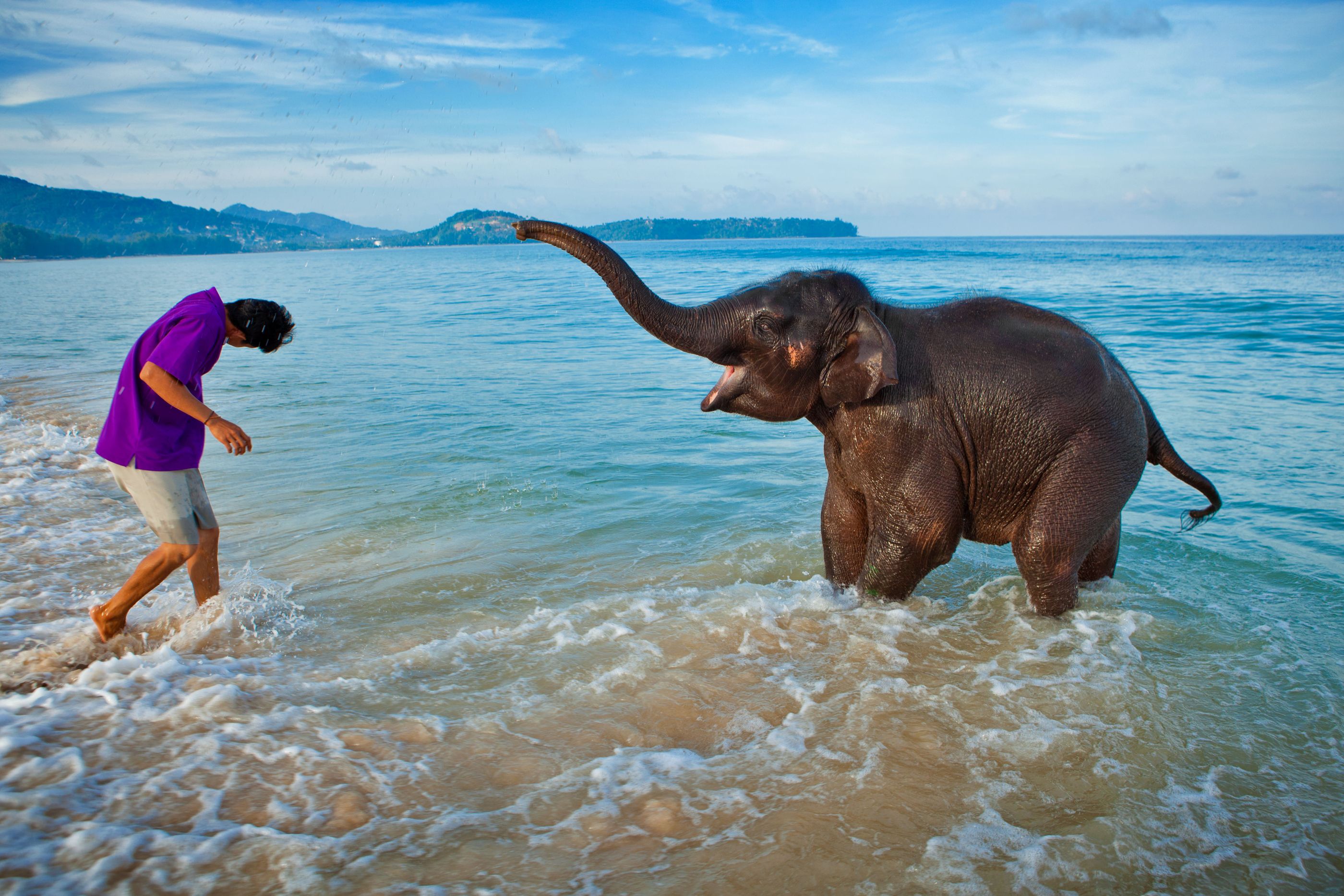 happy elephant in the water at angsana phuket, thailand