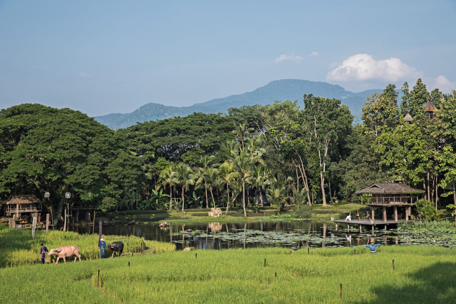 Surrounding farming fields 