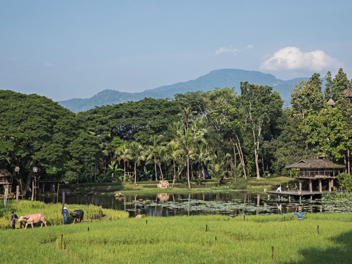 Surrounding farming fields