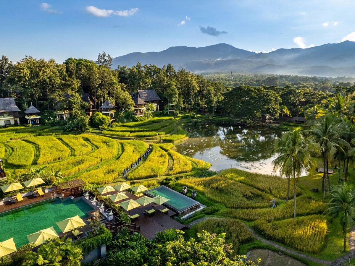 Rice terraces at luxury resort Four Seasons Chiang Mai