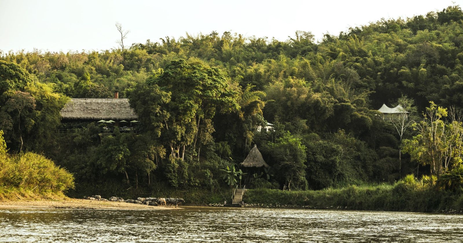 Exterior view of the Four Seasons Tented Camp Golden Triangle in Chiang Rai