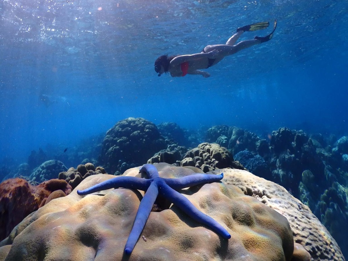 Snorkelling in the clear waters near the Pimalai Resort Koh Lanta Thailand