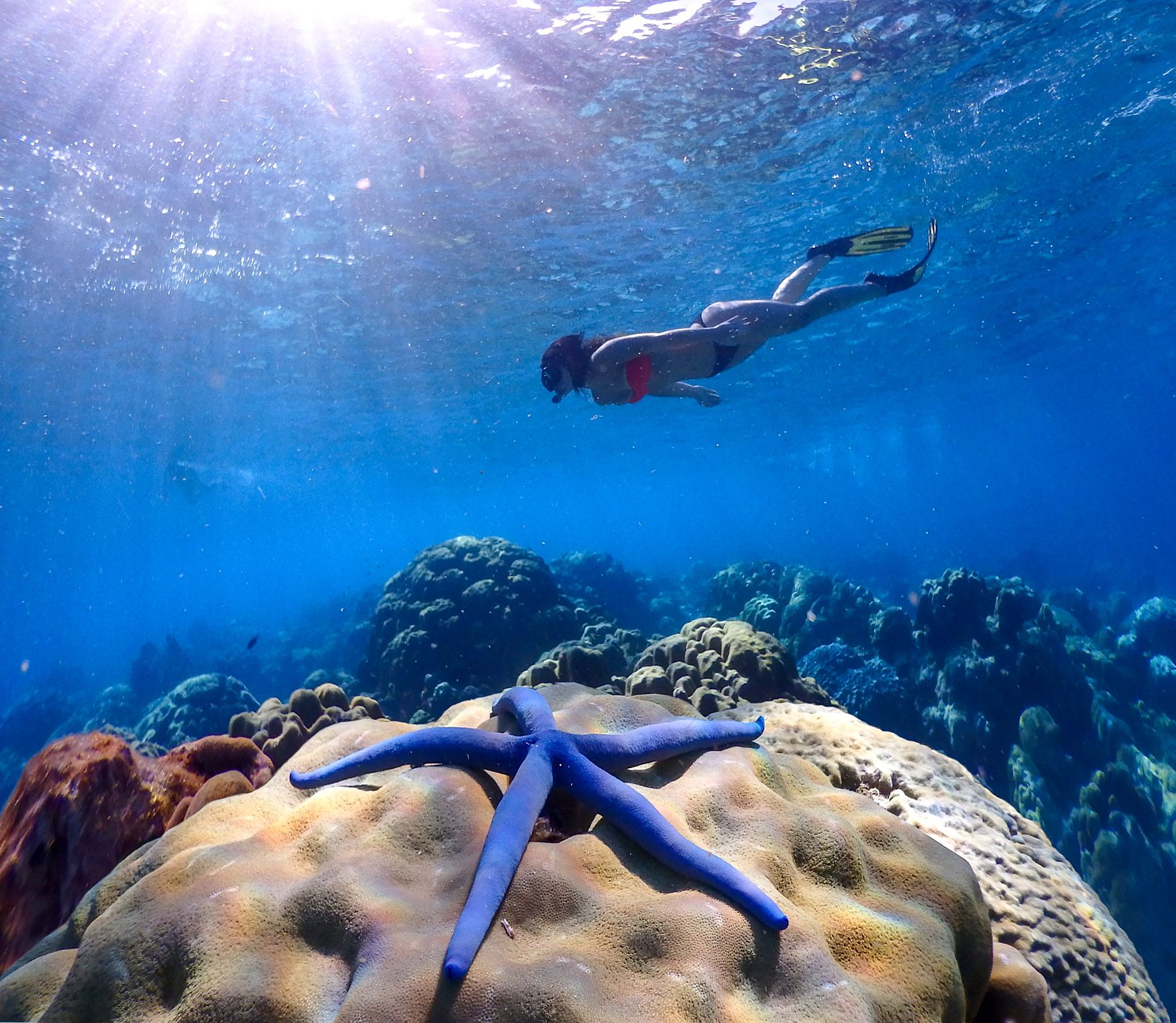 Snorkelling at Pimalai Resort in Koh Lanta