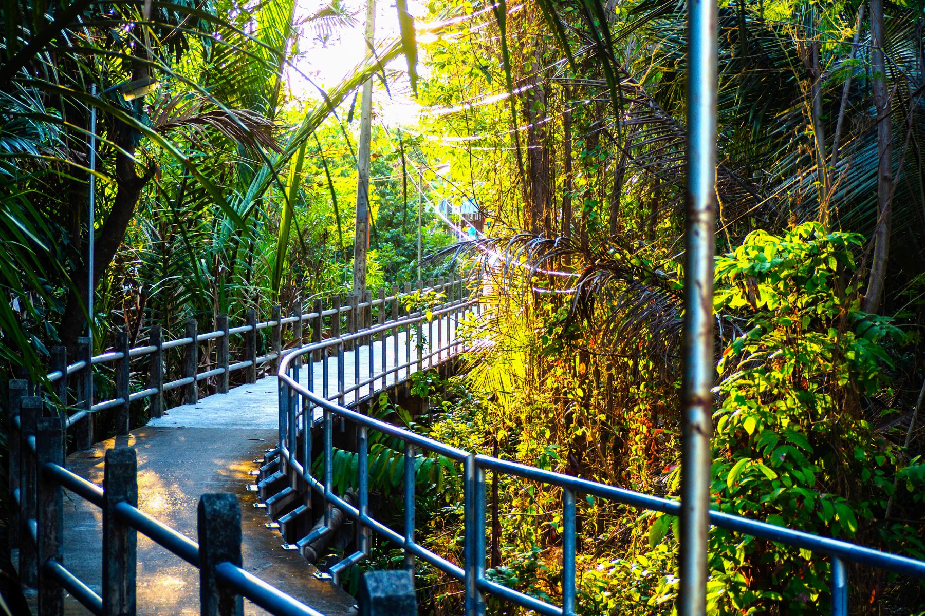 Walkway at Bang Krachao in Bangkok