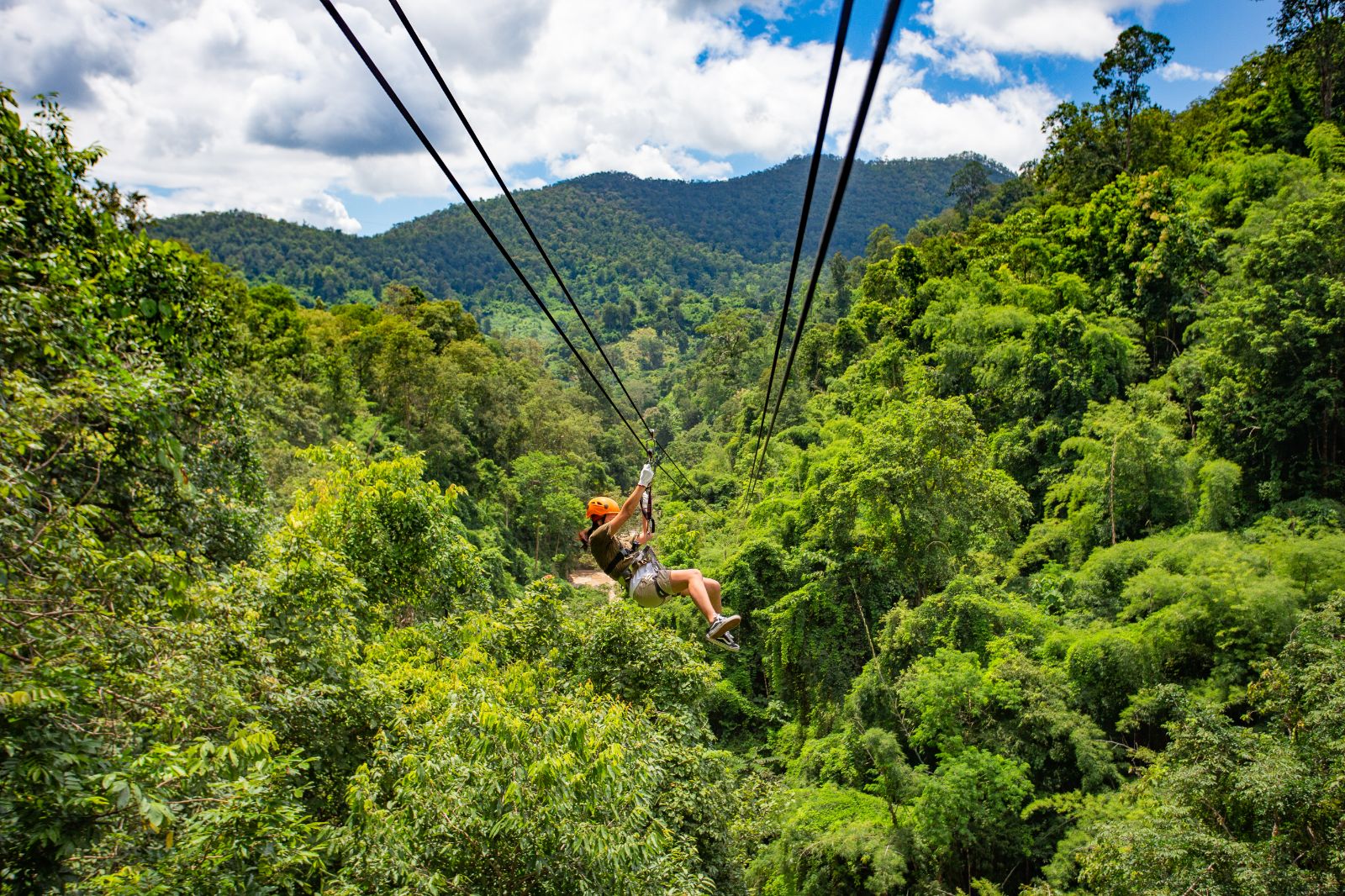 A man ziplining through the canopies of Chiang Mai
