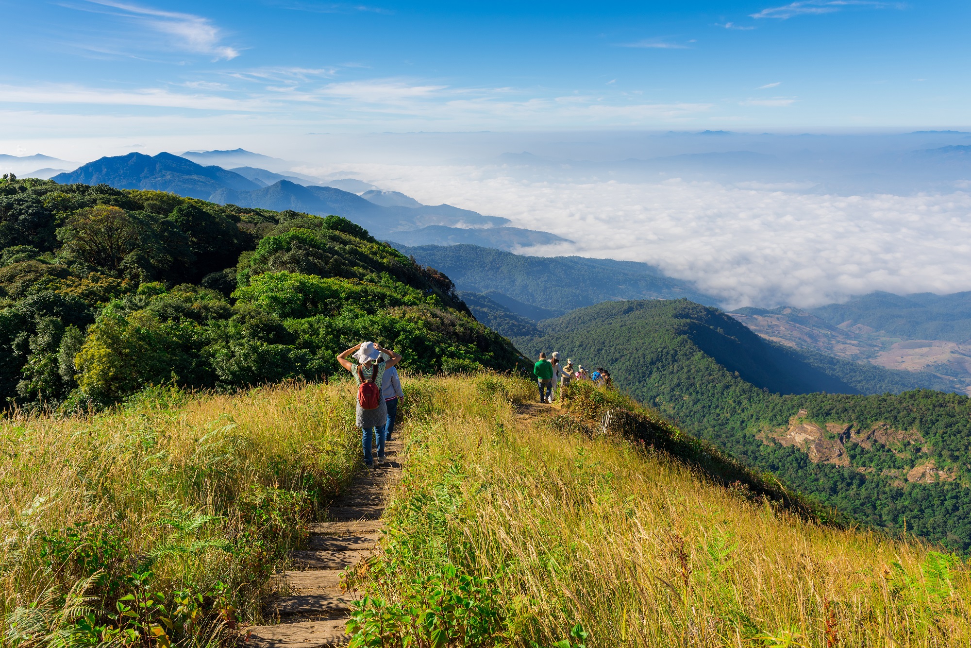 Exploring Doi Inthanon National Park in Thailand