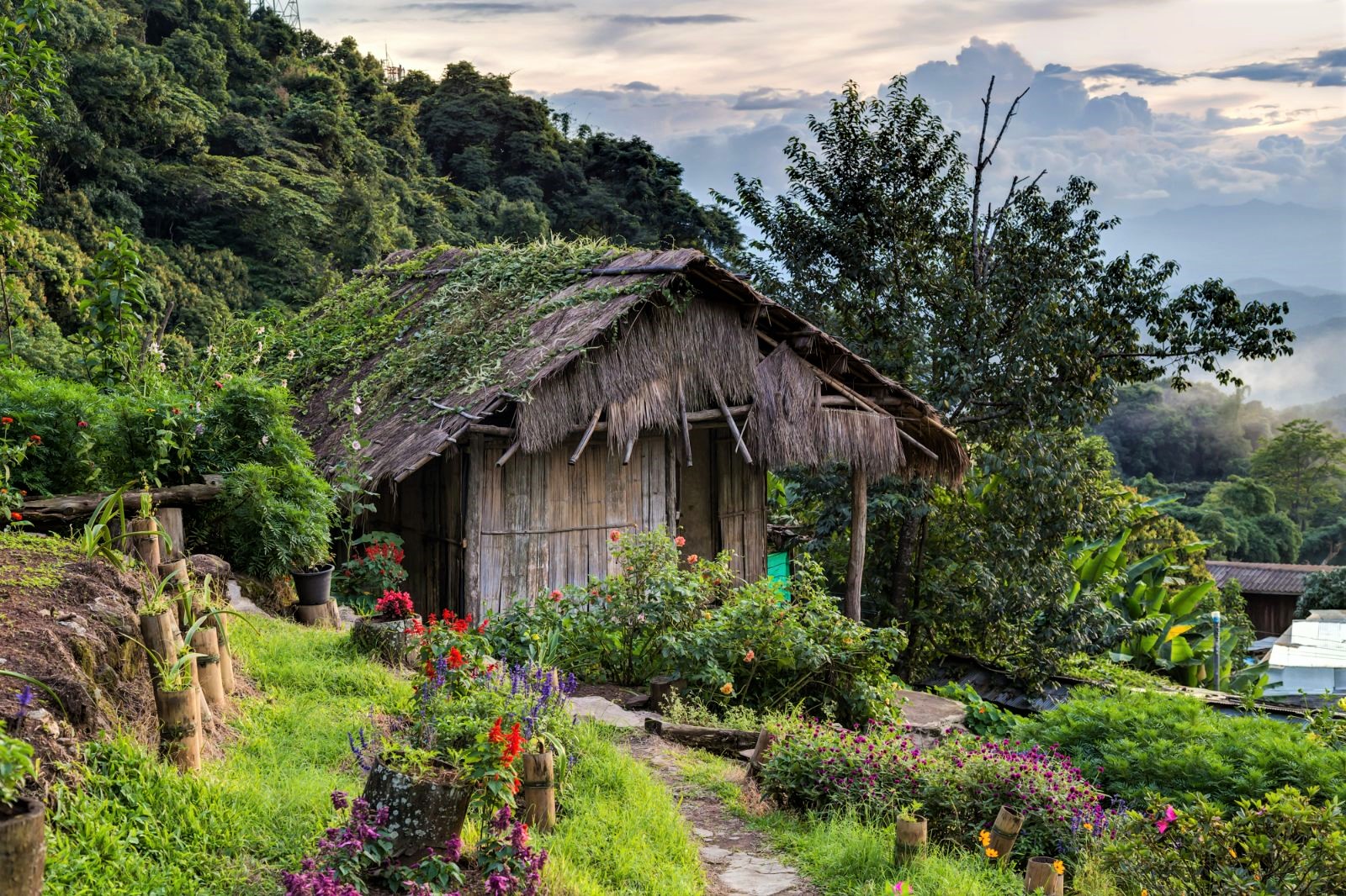 Doi Pui Mong hill tribe in Chiang Mai, Thailand