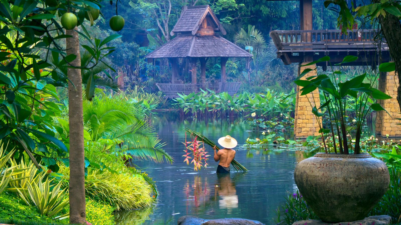 Grounds of Howie's Homestay in Chiang Mai