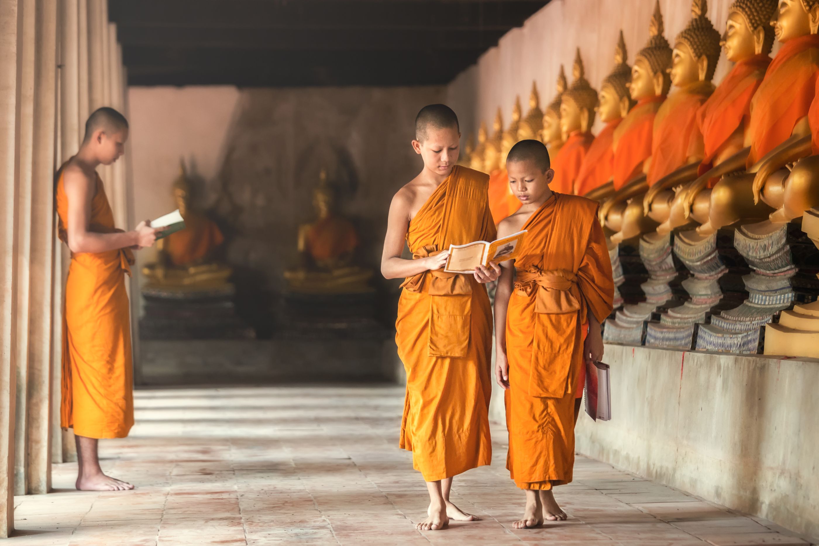 walking monks at ayutthaya, thailand