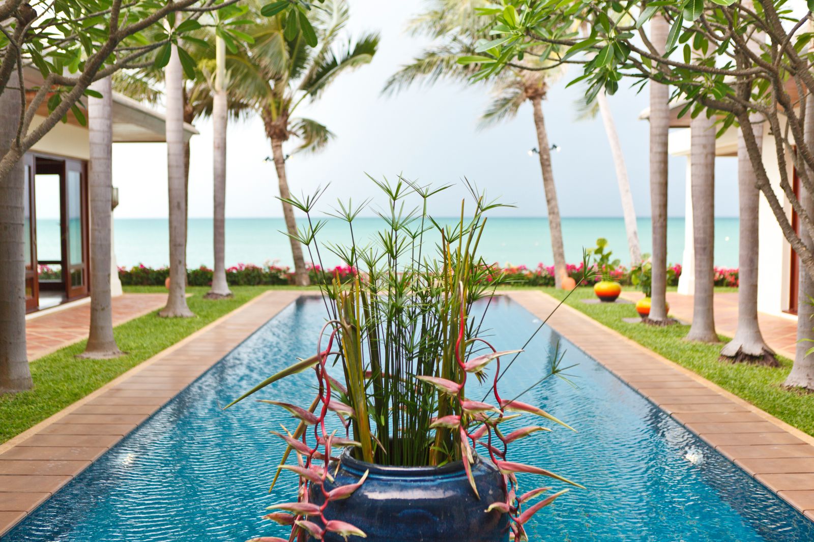 Plants surrounding the pool at villa Gardenia on Koh Samui in Thailand