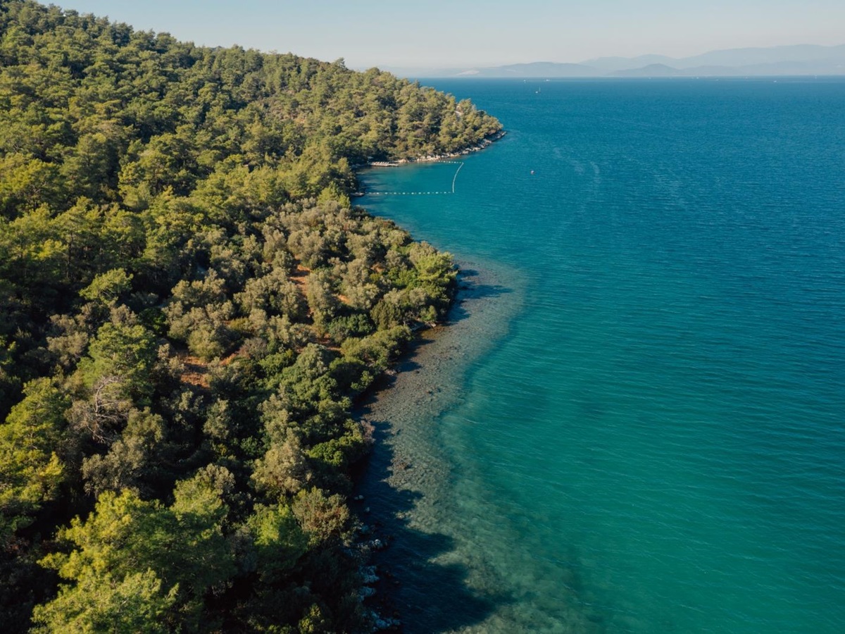 Aerial view of the coast at luxury hotel Amanruya, Turkey