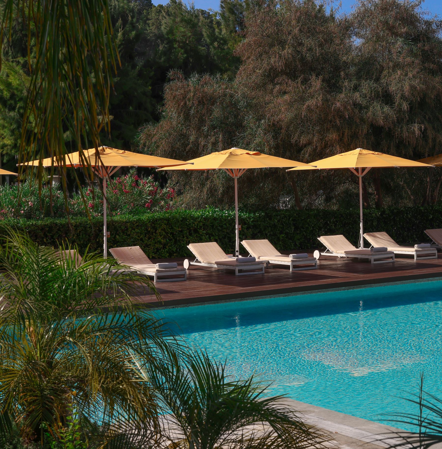 Swimming pool with loungers at D-Resort Gocek in Turkey
