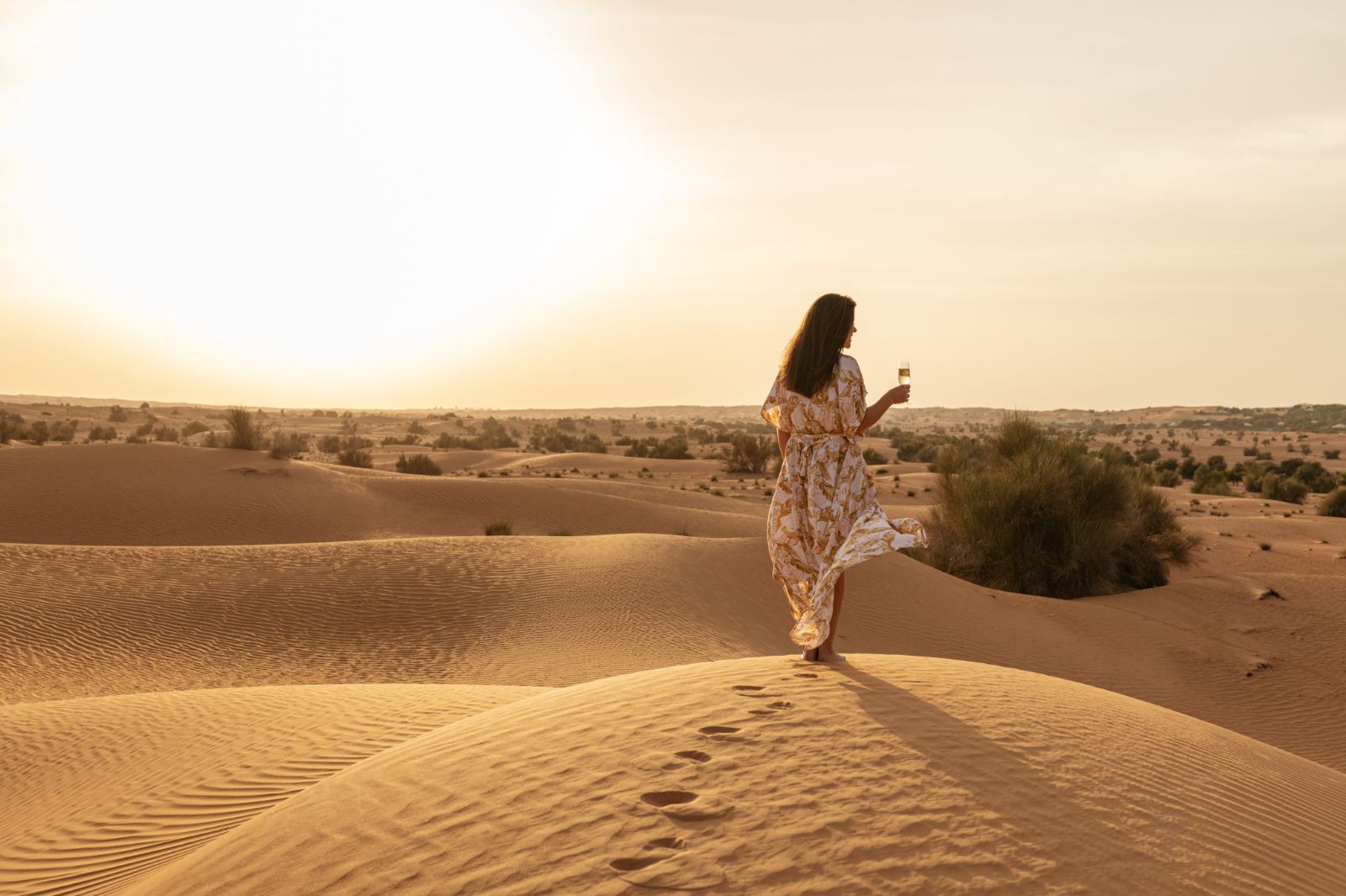 Sundowners at Al Maha A Luxury Collection Desert Resort & Spa in Dubai