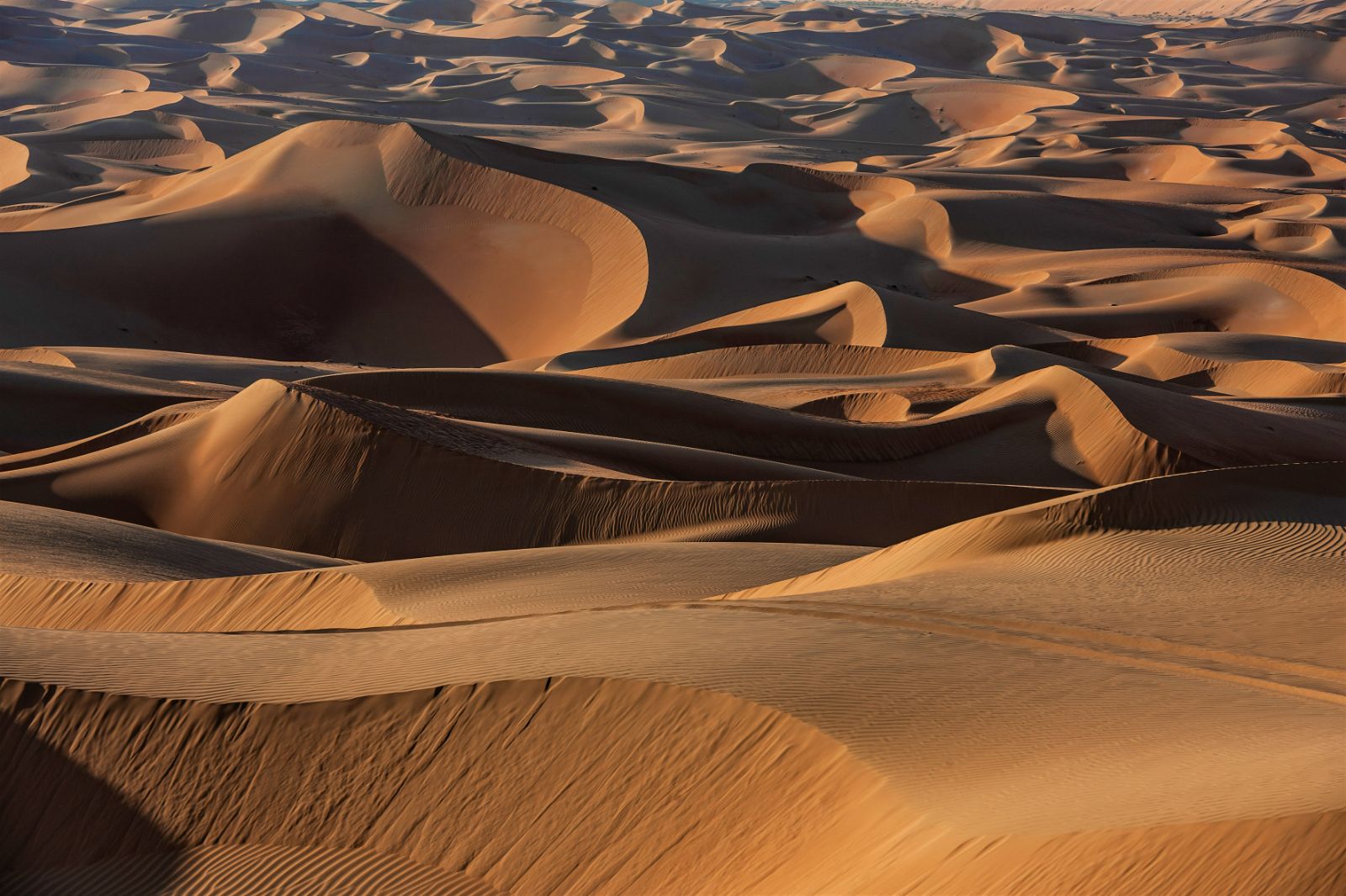 Aerial view of the desert dunes surrounding the  Anantara Qasr al Sarab in Abu Dhabi