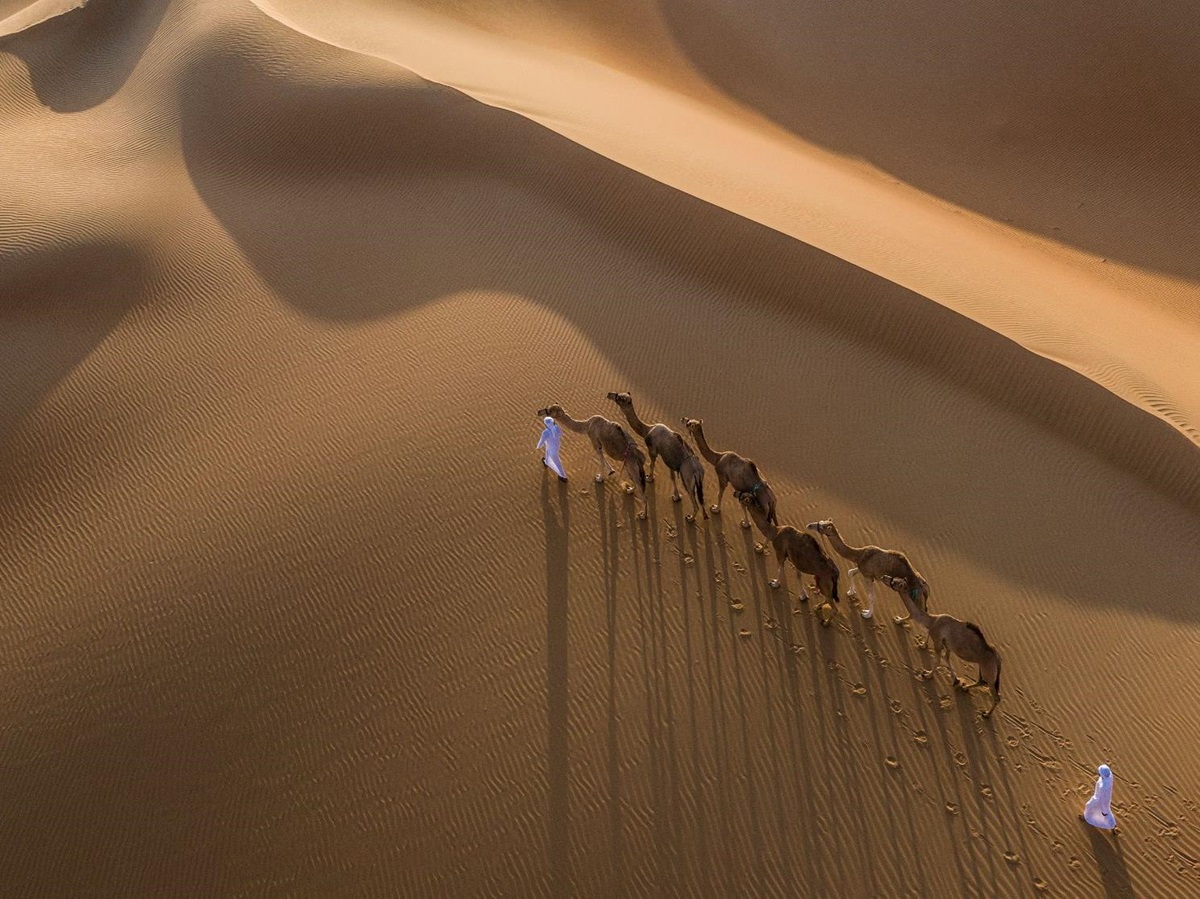 Aerial view of camel trek across the desert from the Qasr al Sarab by Anantara in Abu Dhabi
