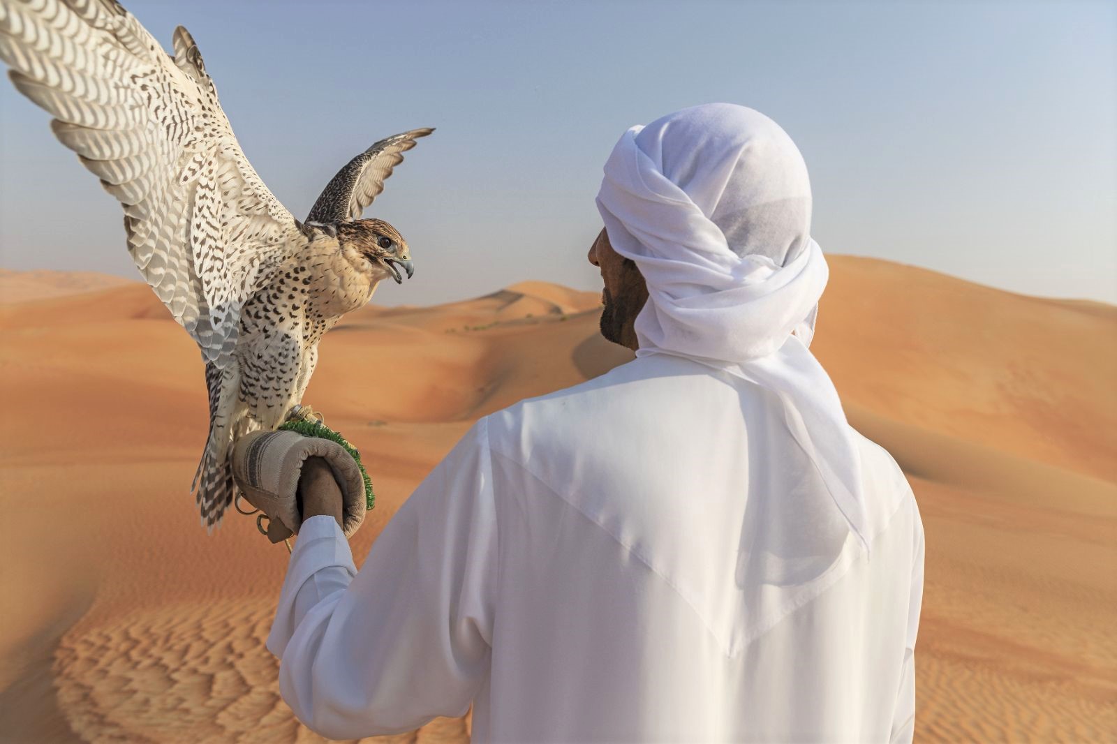 A falconer in the Liwa Desert near Qasr Al Sarab Desert Resort in the United Arab Emirates