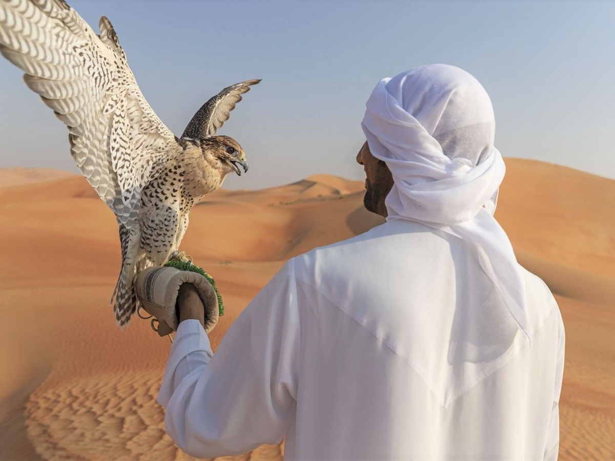 A falconer in the Liwa Desert near Qasr Al Sarab Desert Resort in the United Arab Emirates