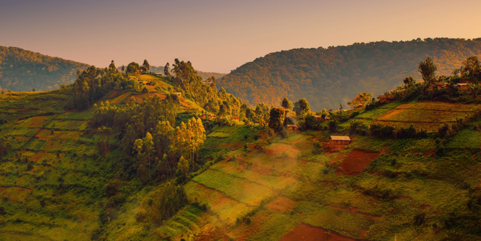 Sun rising over the hills and forests of Bwindi in Uganda