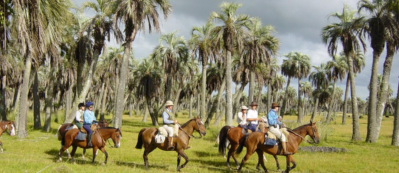Four horseriders with palmtrees near Estancia, Uruguay