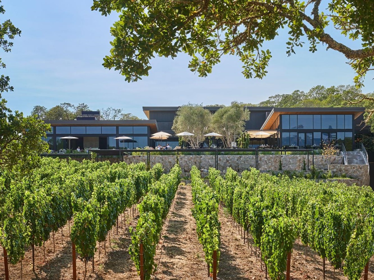 Vineyard on the grounds of Montage Healdsburg in Sonoma, California