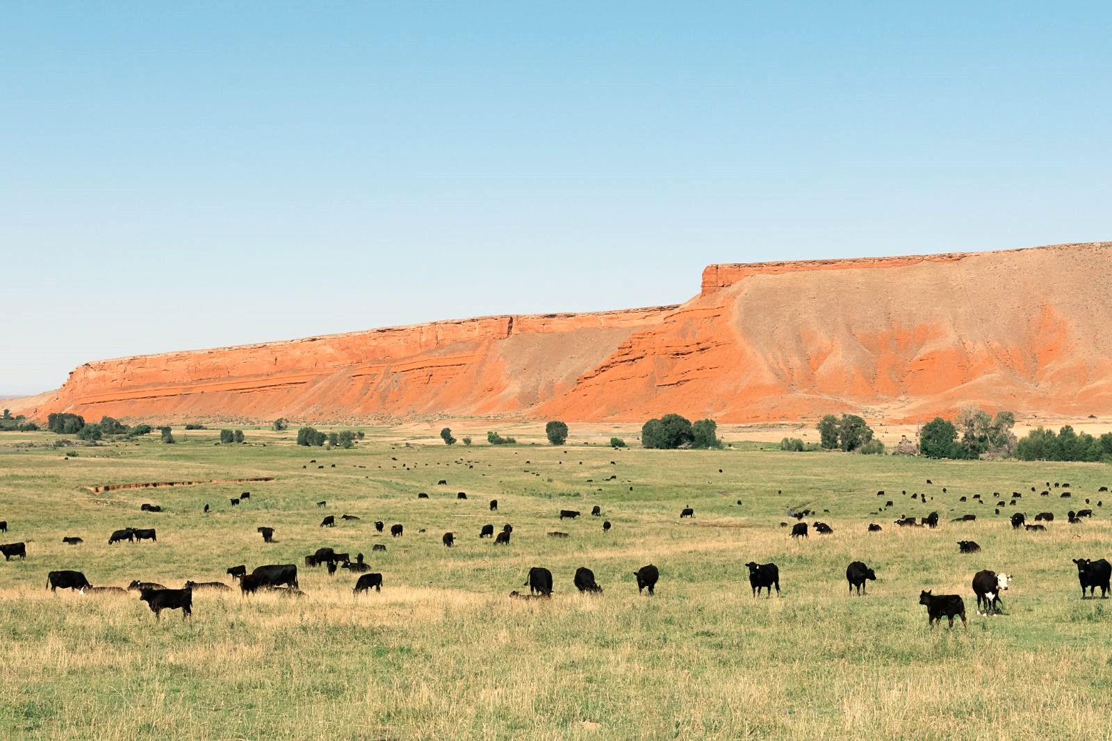 Plenty Rocks Ranch Paintrock Canyon Ranch | Luxury Wyoming Ranch | Red Savannah