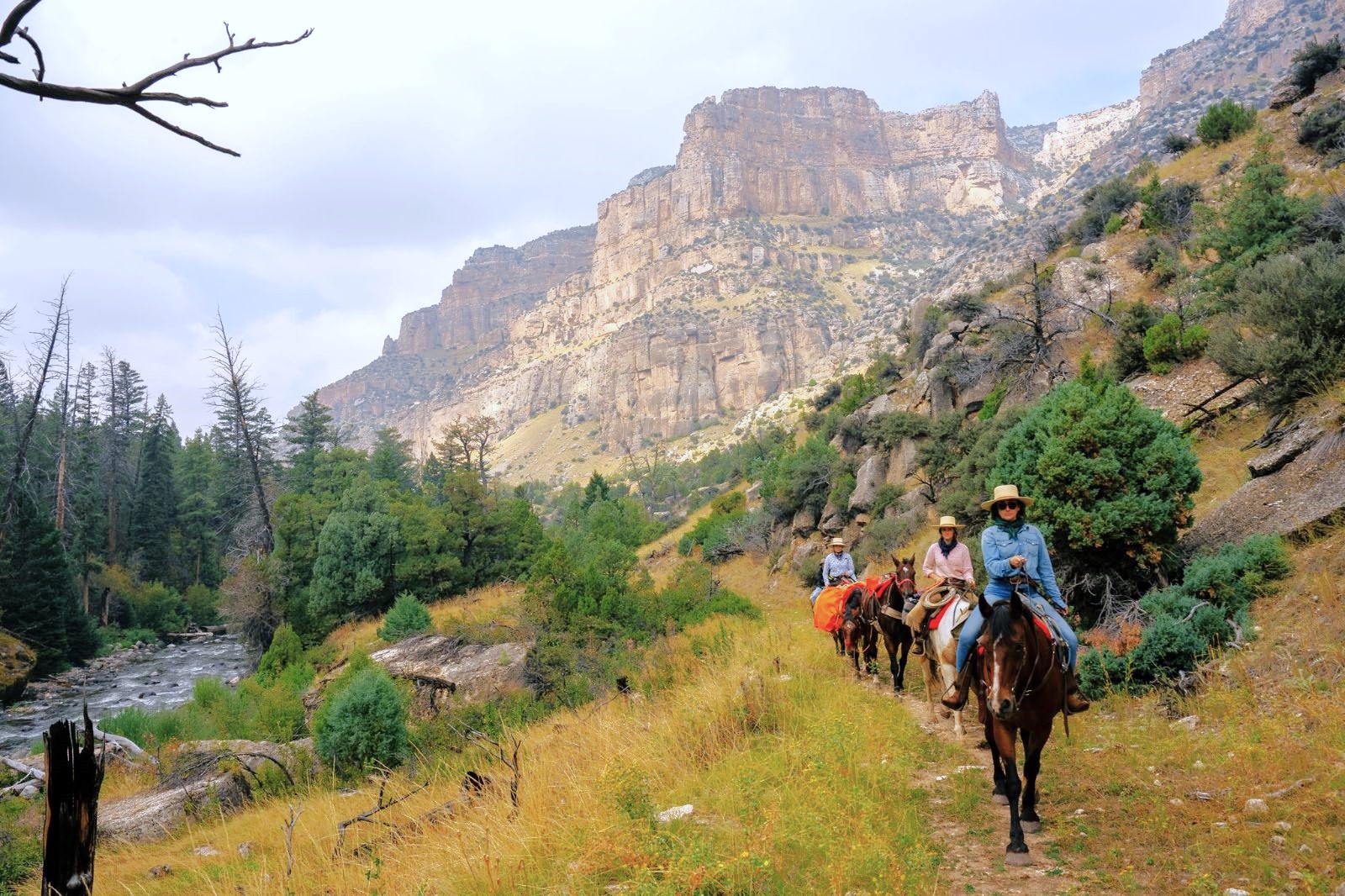 Plenty Rocks Ranch Paintrock Canyon Ranch | Luxury Wyoming Ranch | Red Savannah