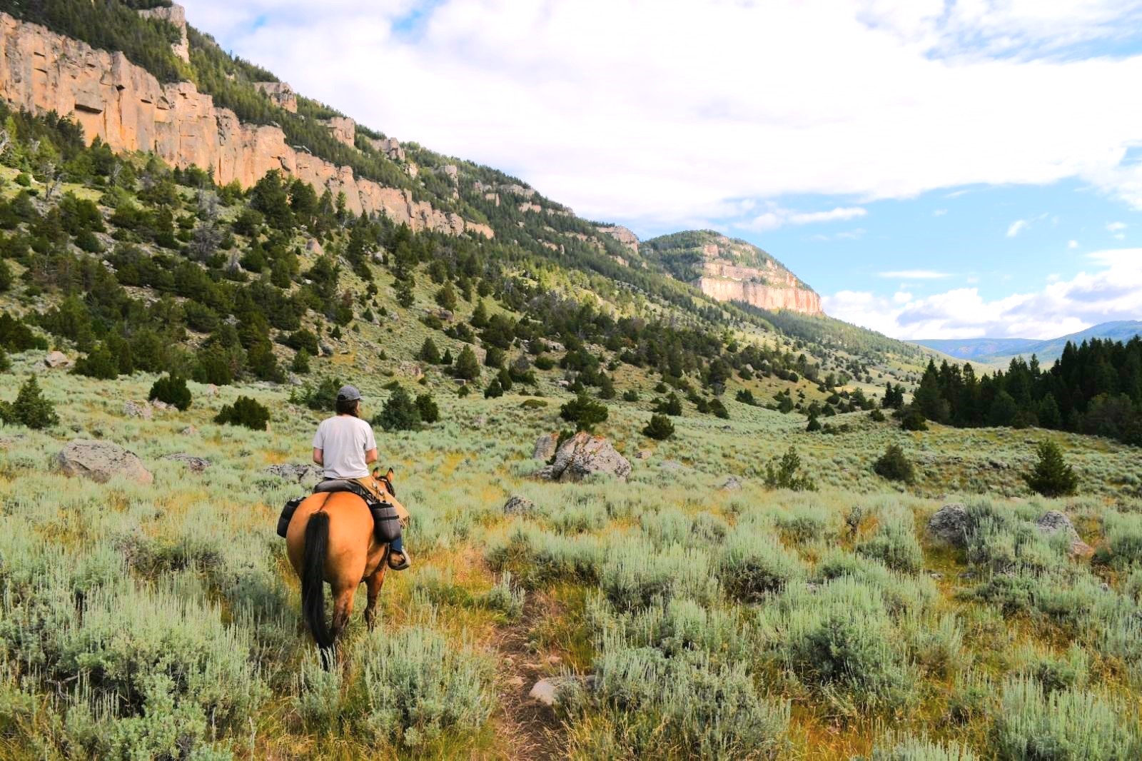 Plenty Rocks Ranch Paintrock Canyon Ranch | Luxury Wyoming Ranch | Red Savannah