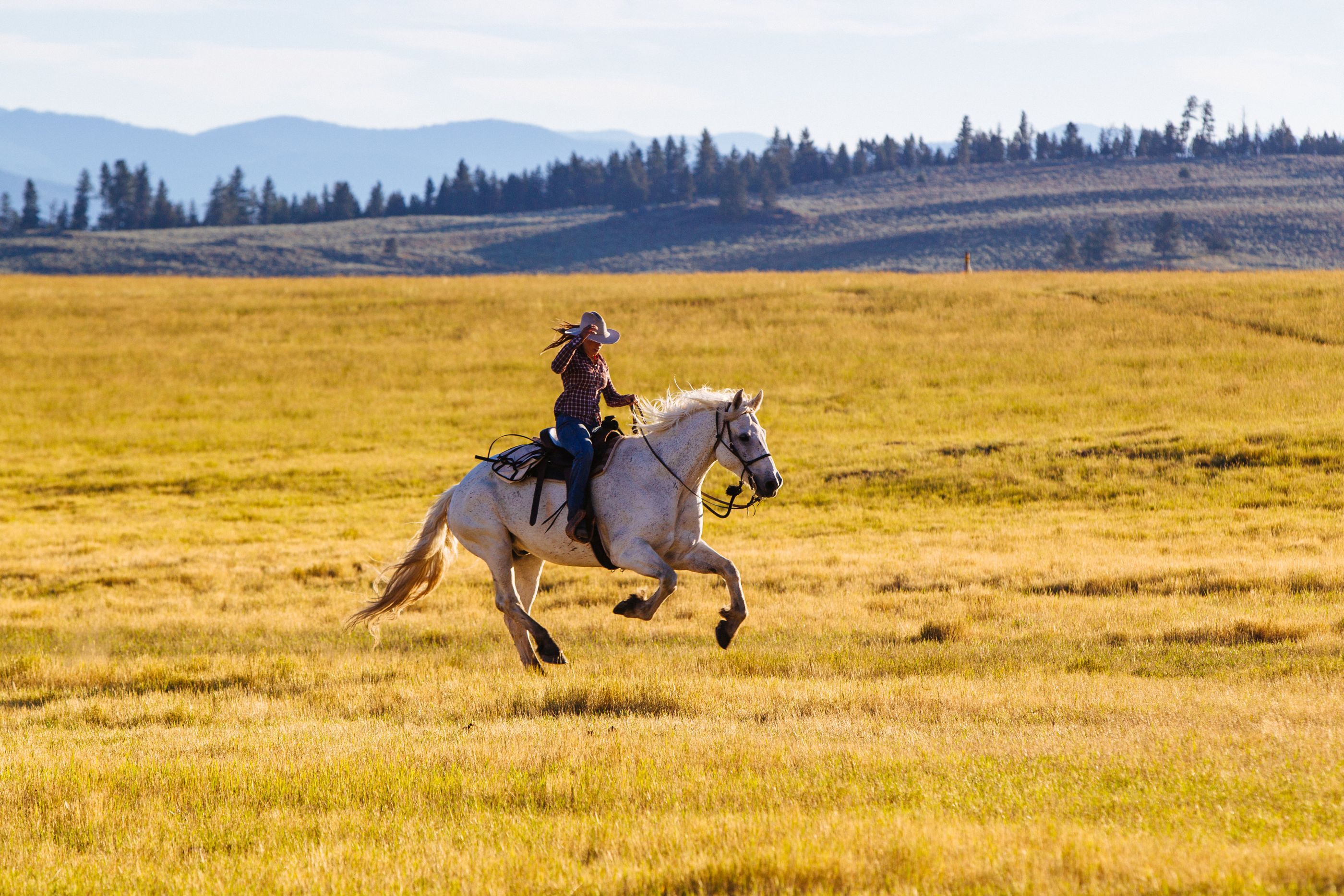 Paws Up Ranch Paws Up Ranch | Family Ranch Holidays in Montana, USA | Red Savannah
