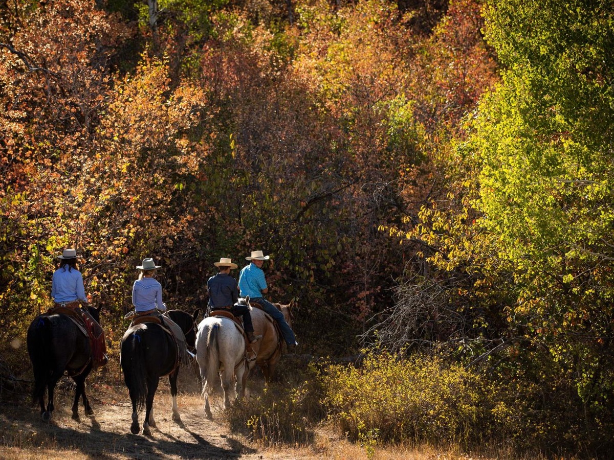 A group on horses exploring an equine route at luxury lodge The Lodge at Blue Sky