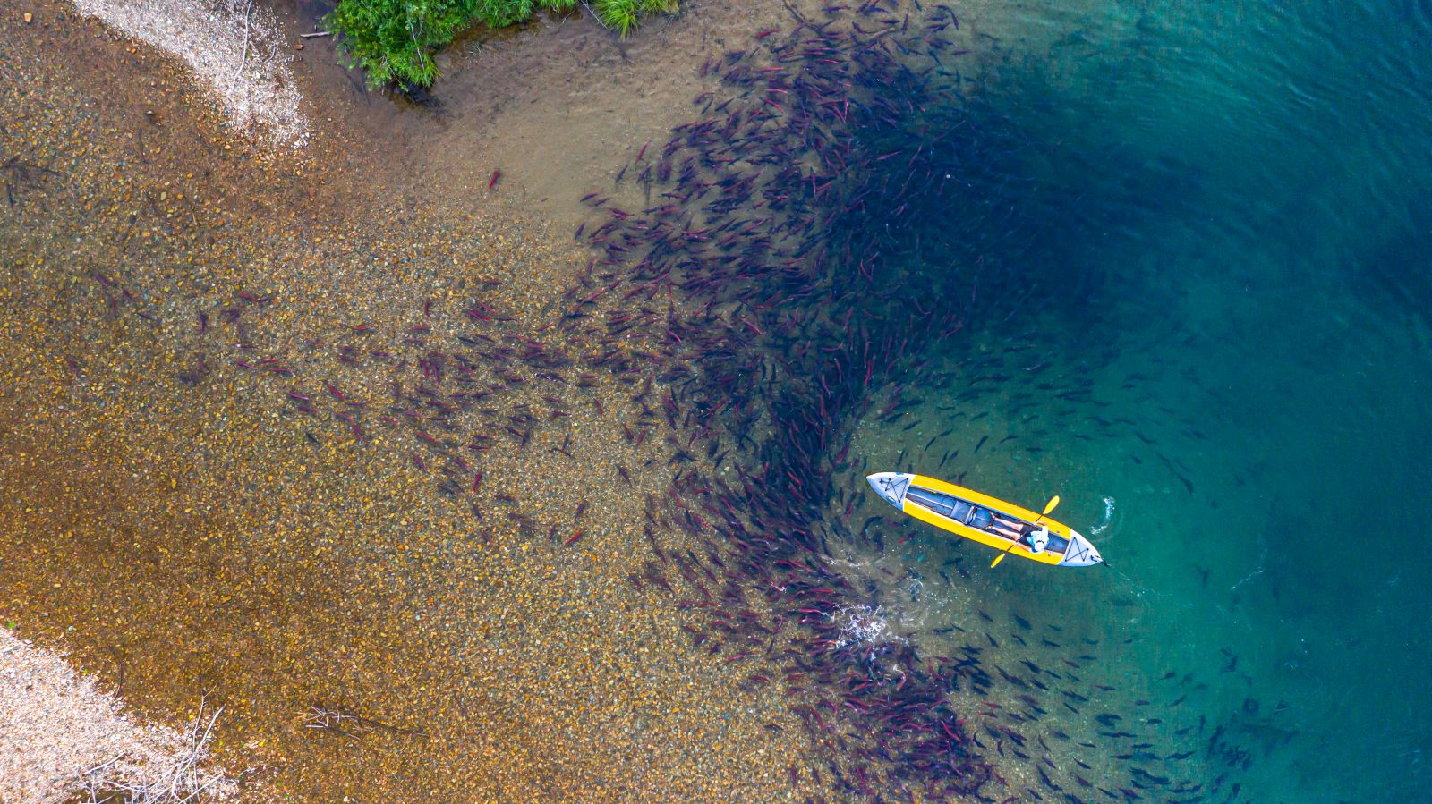 Kayaking in clear lakes at Tordrillo Mountain Lodge Alaska