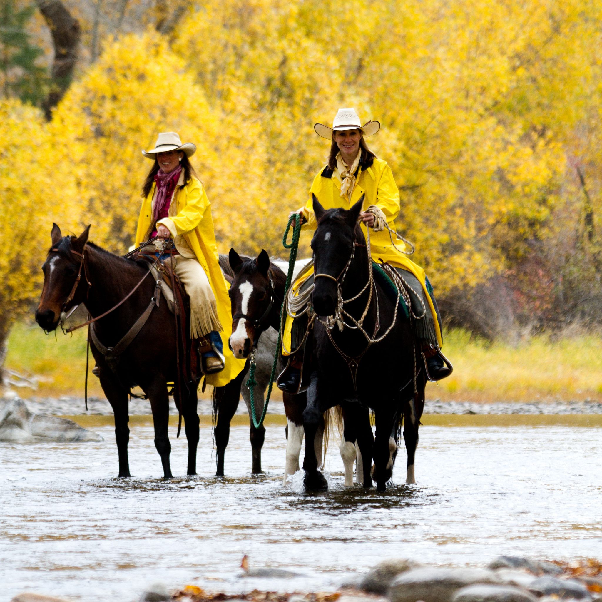 Horse riding in the creek near Triple Creek Ranch, USA