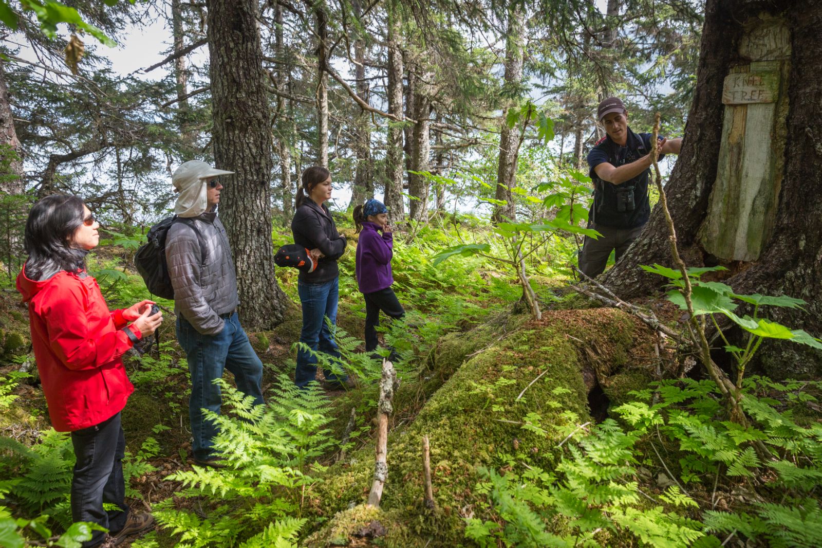 Guide-led nature hike through the Alaskan wilderness rom Tutka Bay Lodge in the USA