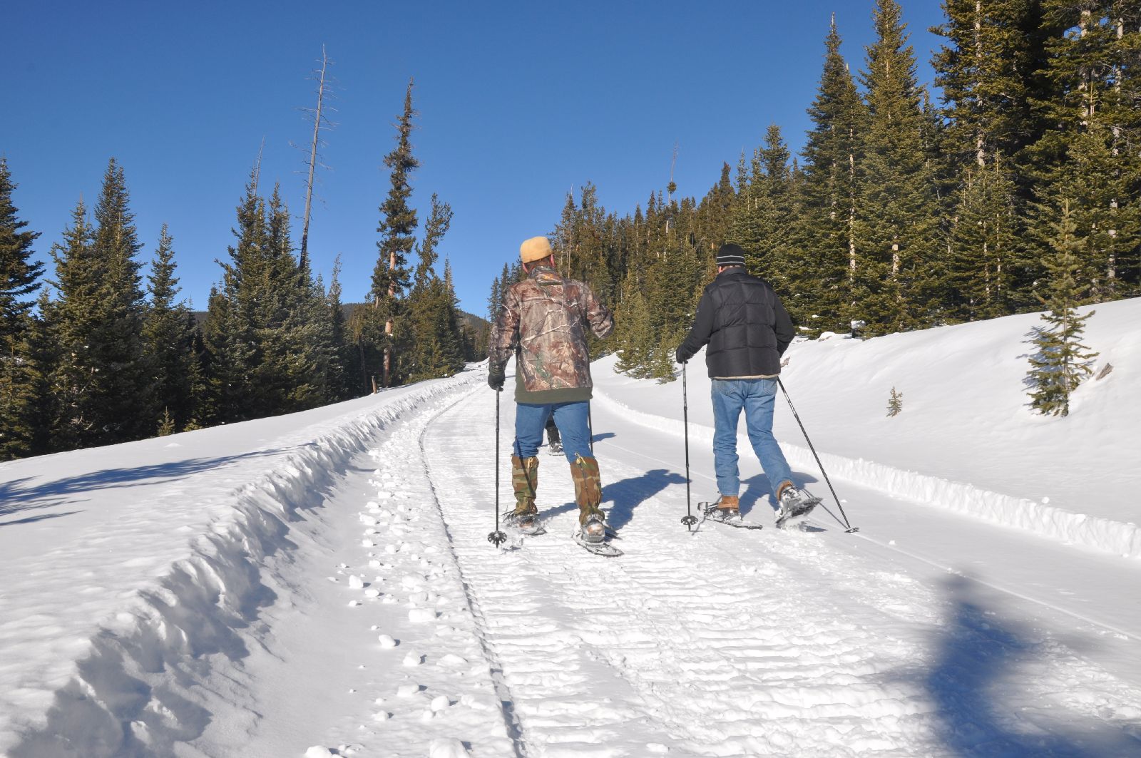 Cross country skiing from Ted Turner's Vermejo reserve in New Mexico USA