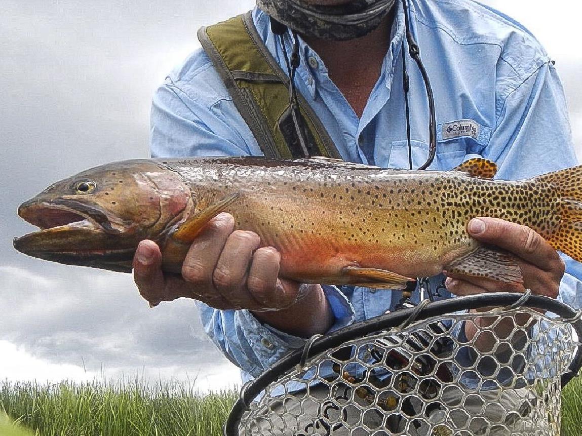 Guest enjoying fishing from Ted Turner's Vermejo reserve in New Mexico USA