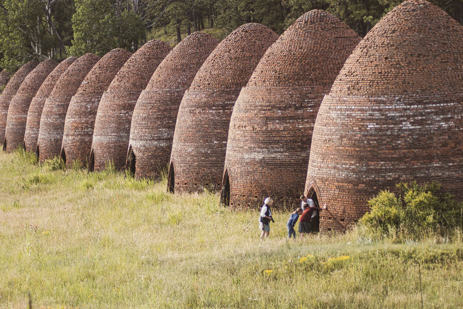 Kilns visit from Ted Turner's Vermejo reserve in New Mexico USA