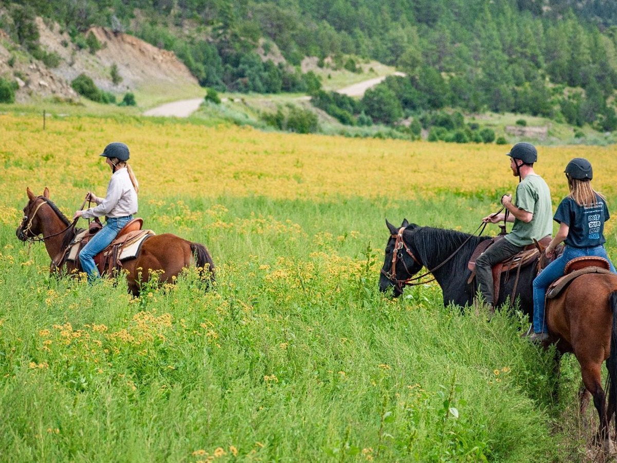 Guests horse riding from Ted Turner's Vermejo reserve in New Mexico USA