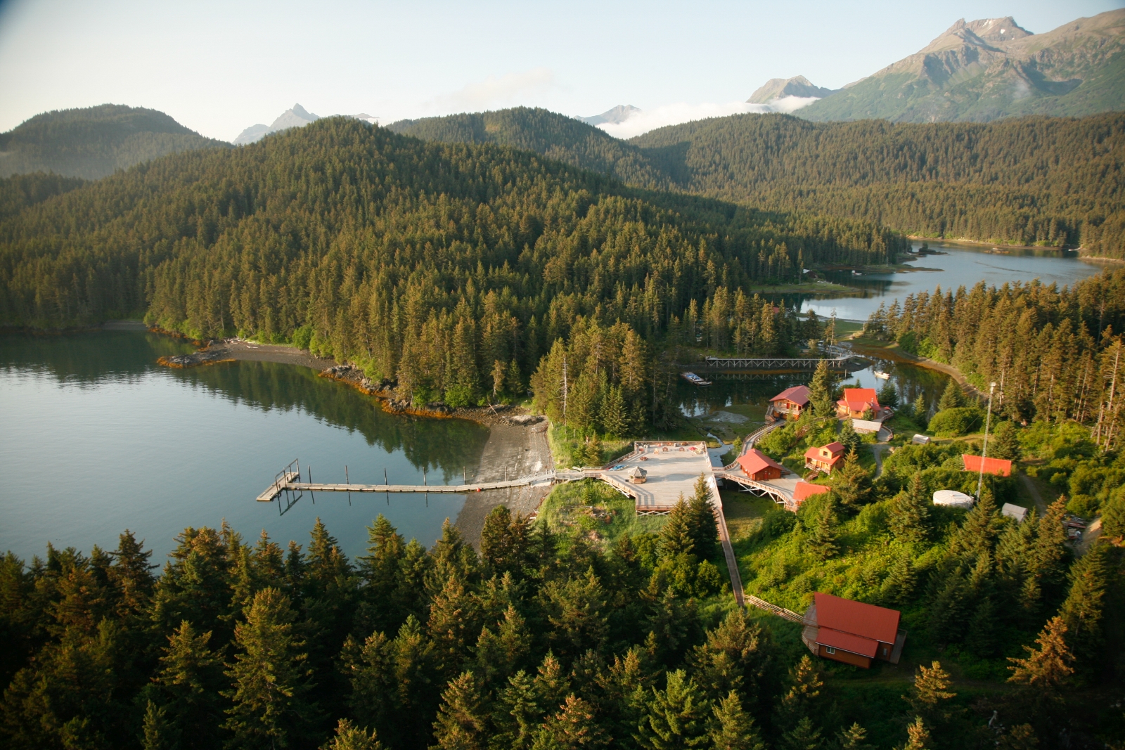Aerial view of Tutka Bay Lodge and surrounding forest with lake and jetty