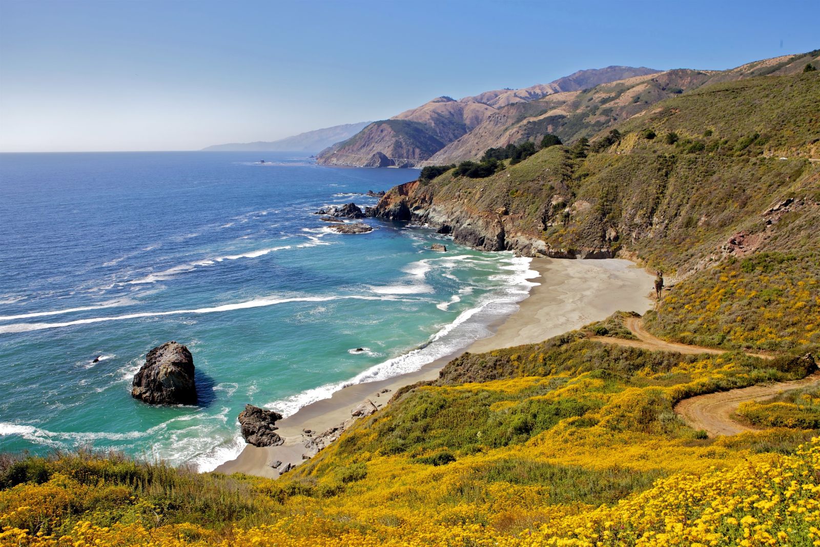 Wildflowers and coastline at Big Sur in California