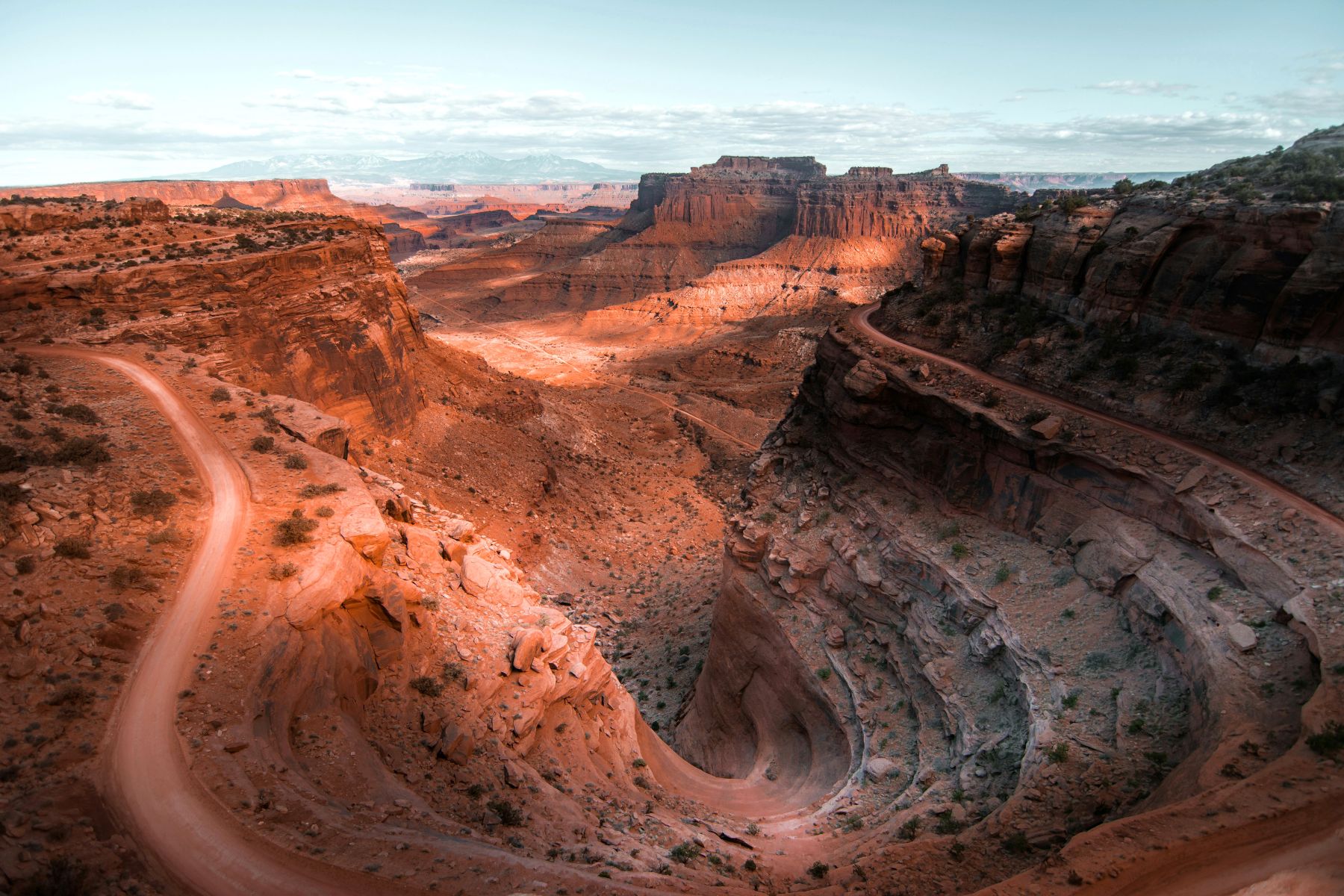 Aerial view of red cliffs and a valley in Canyonlands National Park, Moab, USA