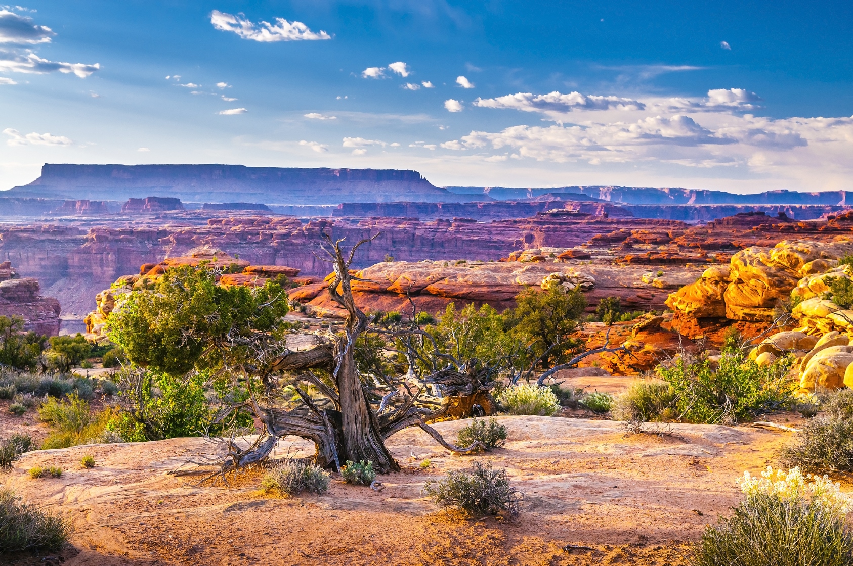 Canyonlands, USA