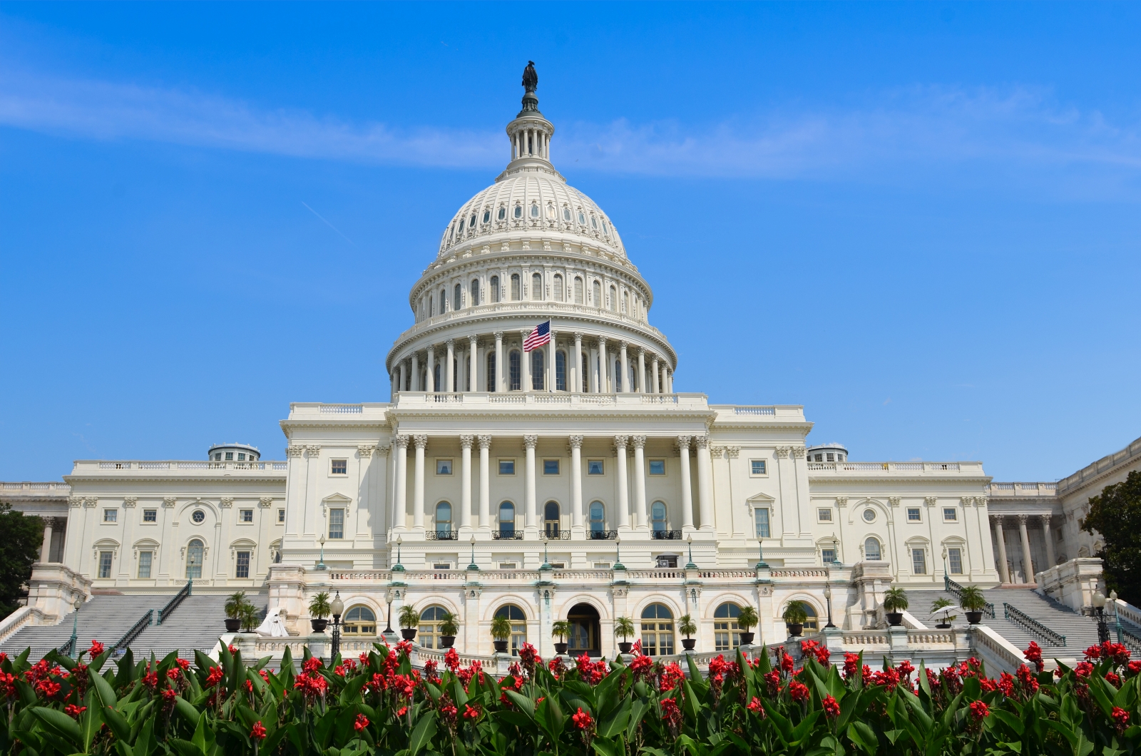 The Capitol Building in Washington, D.C.