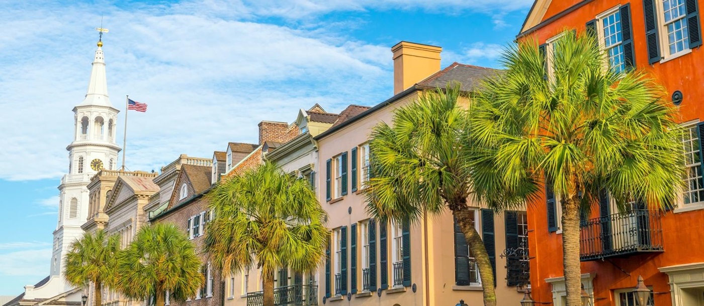 Houses and palm trees in downtown Charleston, USA