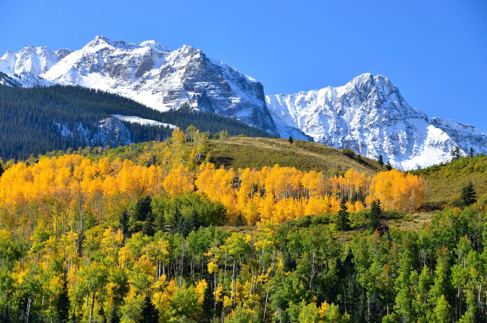 Autumn colours and the Rocky Mountains near Telluride, Colorado, USA