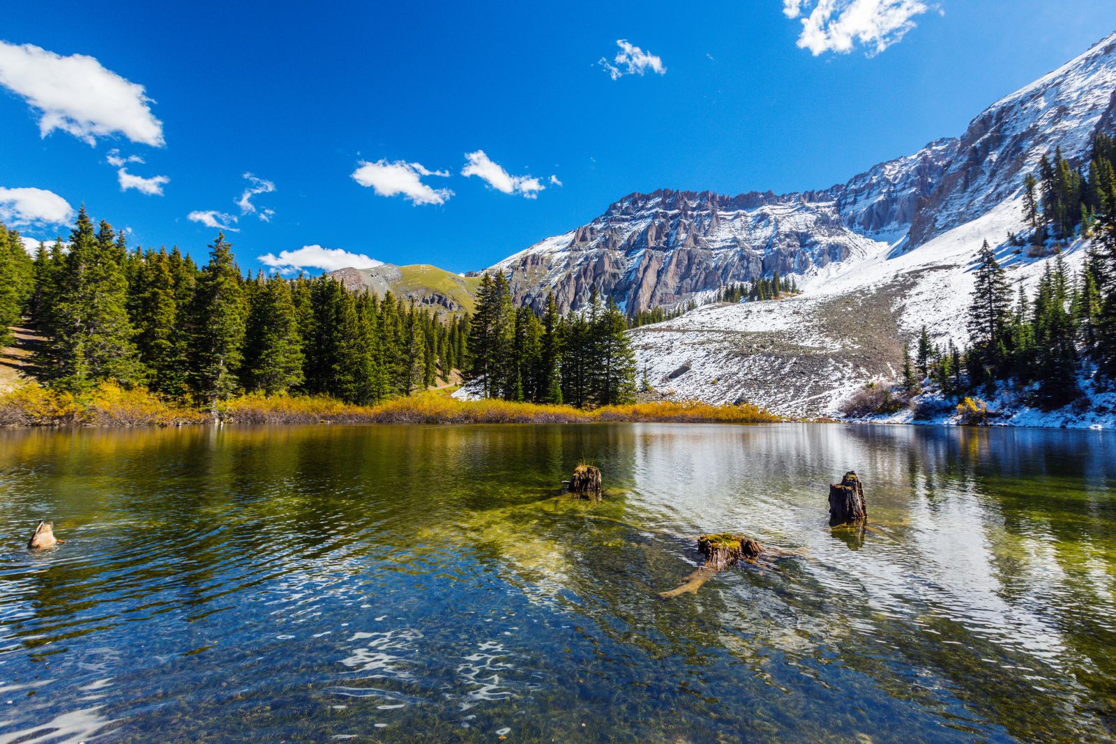 View of the river, forest and mountains in Telluride, Colorado