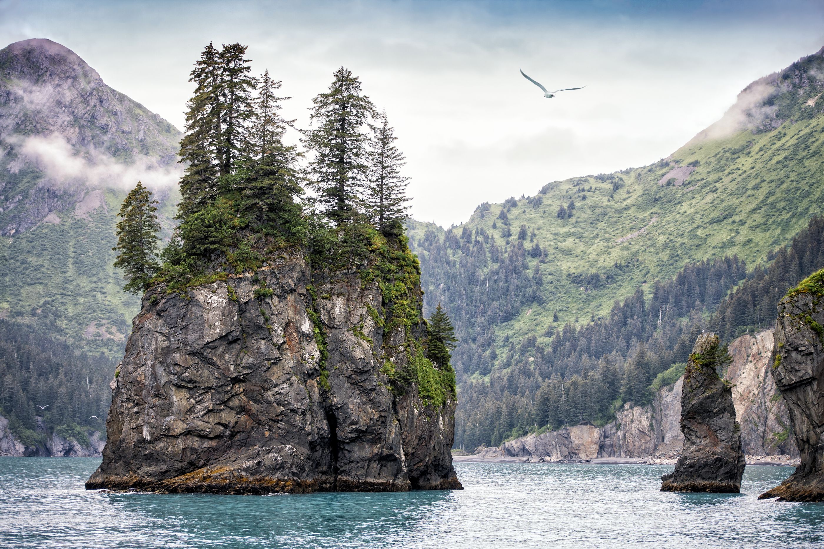 Kenai Fjords national Park, Alaska USA