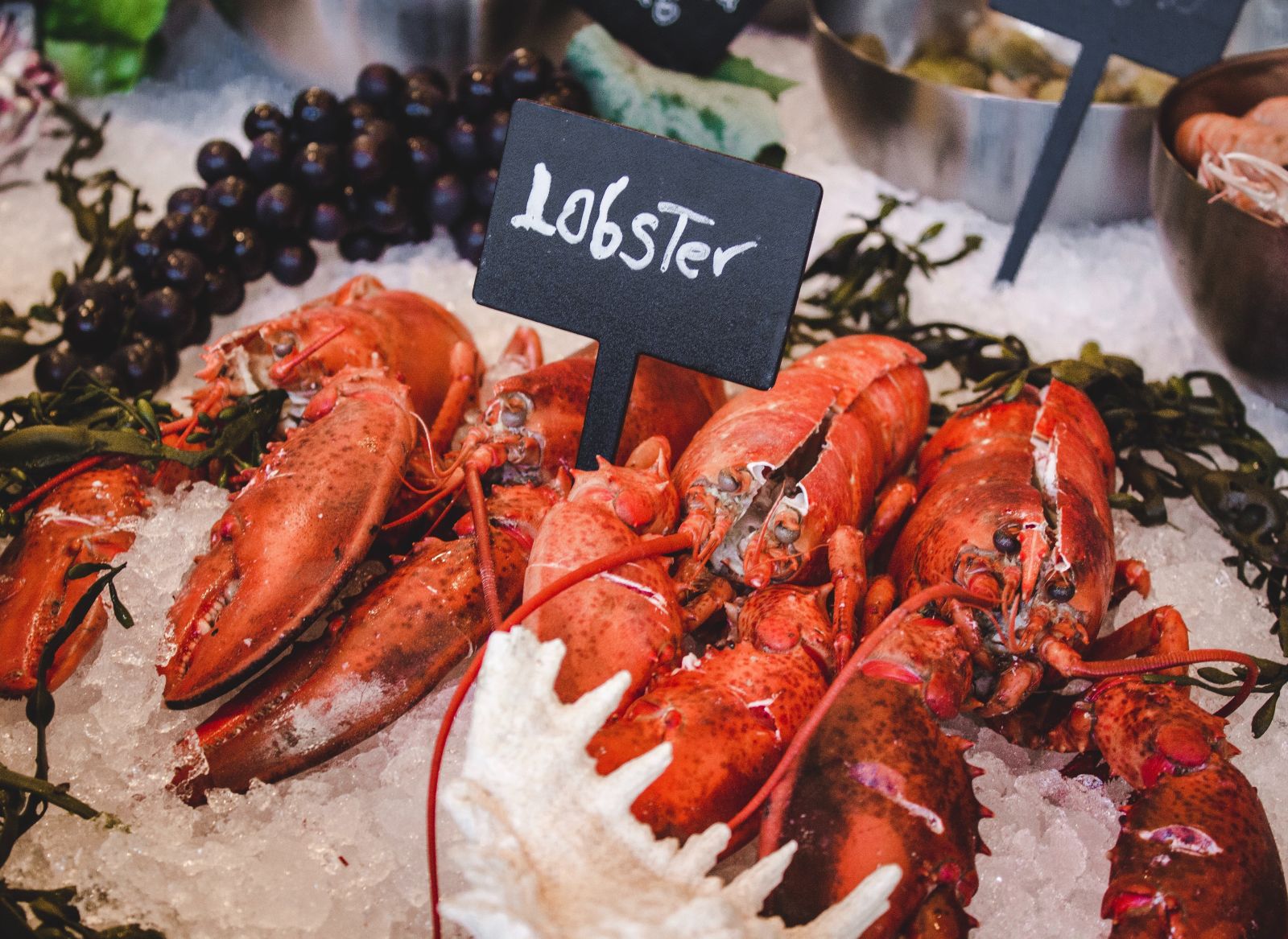 Fresh lobster in a market in Maine, USA
