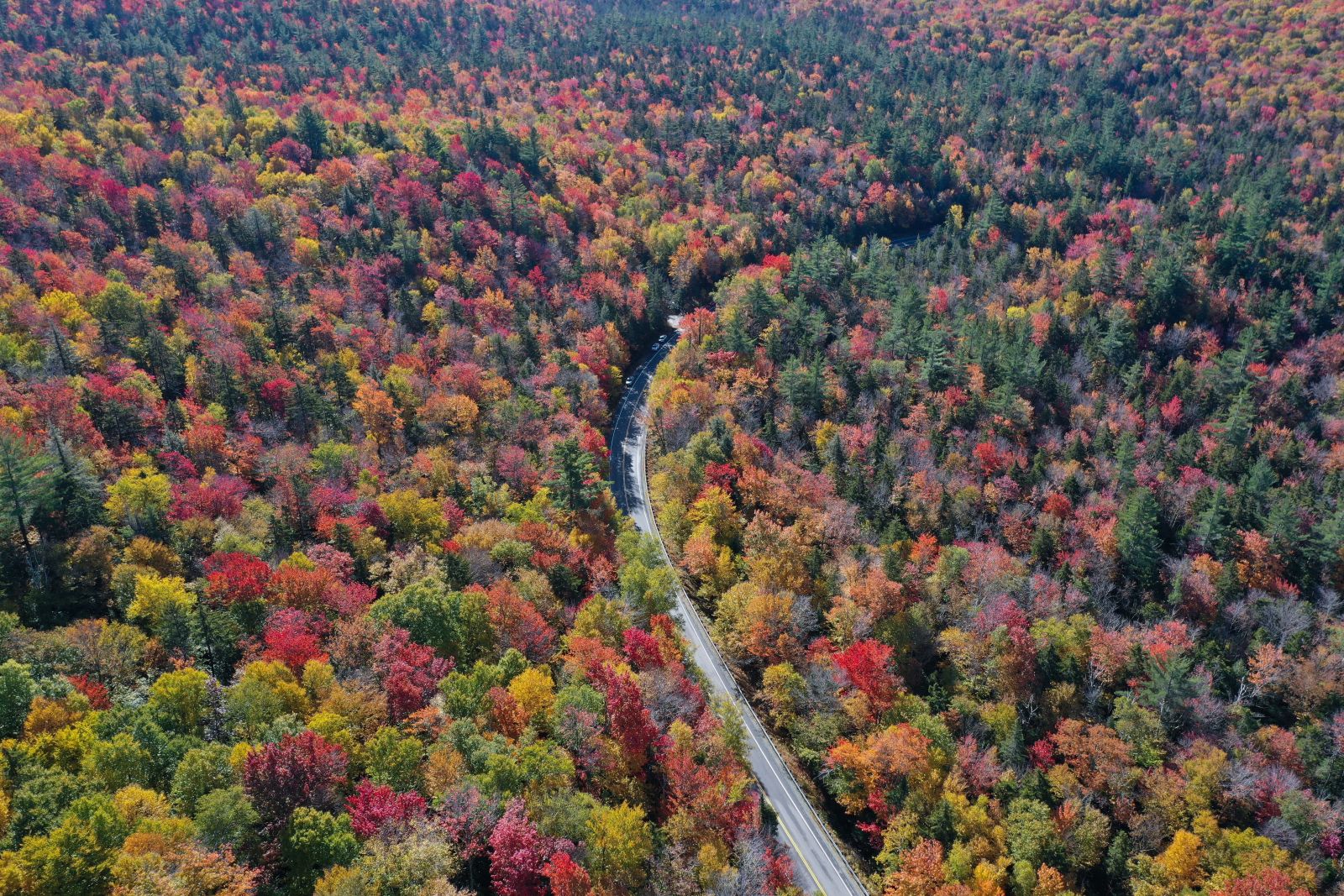 Aerial view of a road through the forest in fall New Hampshire, USA