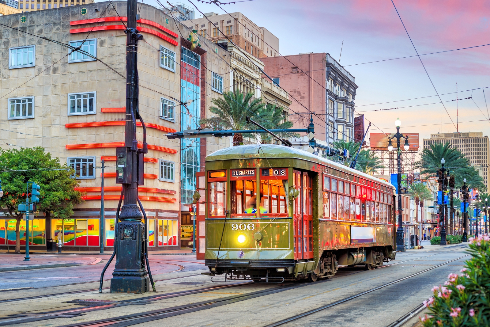 Streetcar going down a palm-lined street in New Orleans