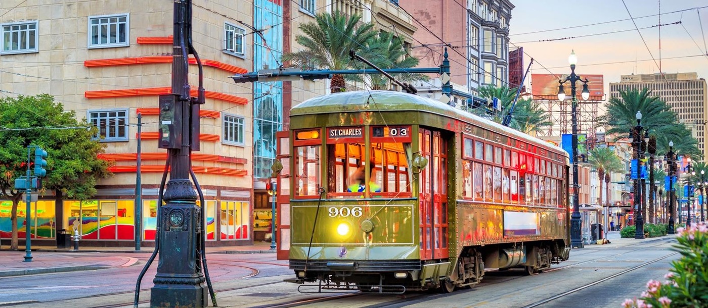 Streetcar going down a palm-lined street in New Orleans