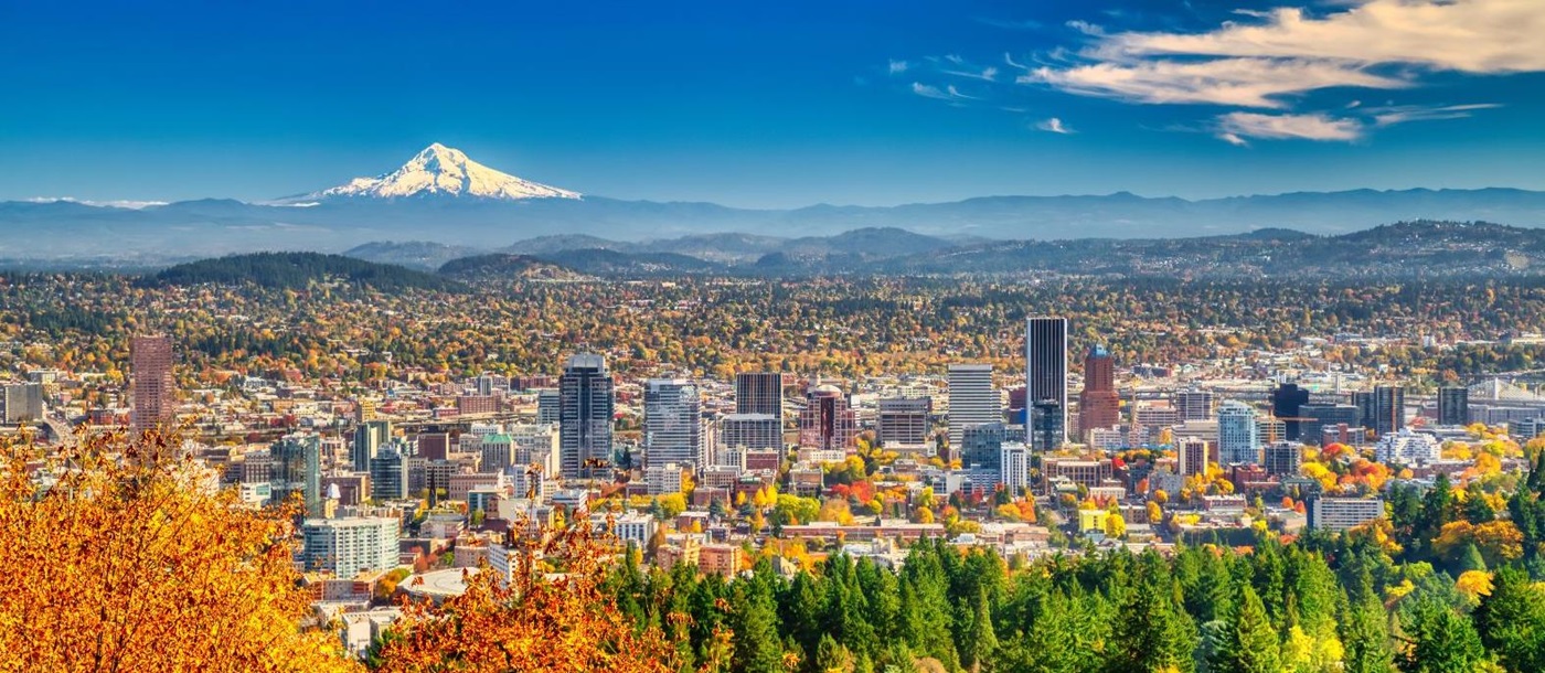 Panoramic view of Portland in Oregon